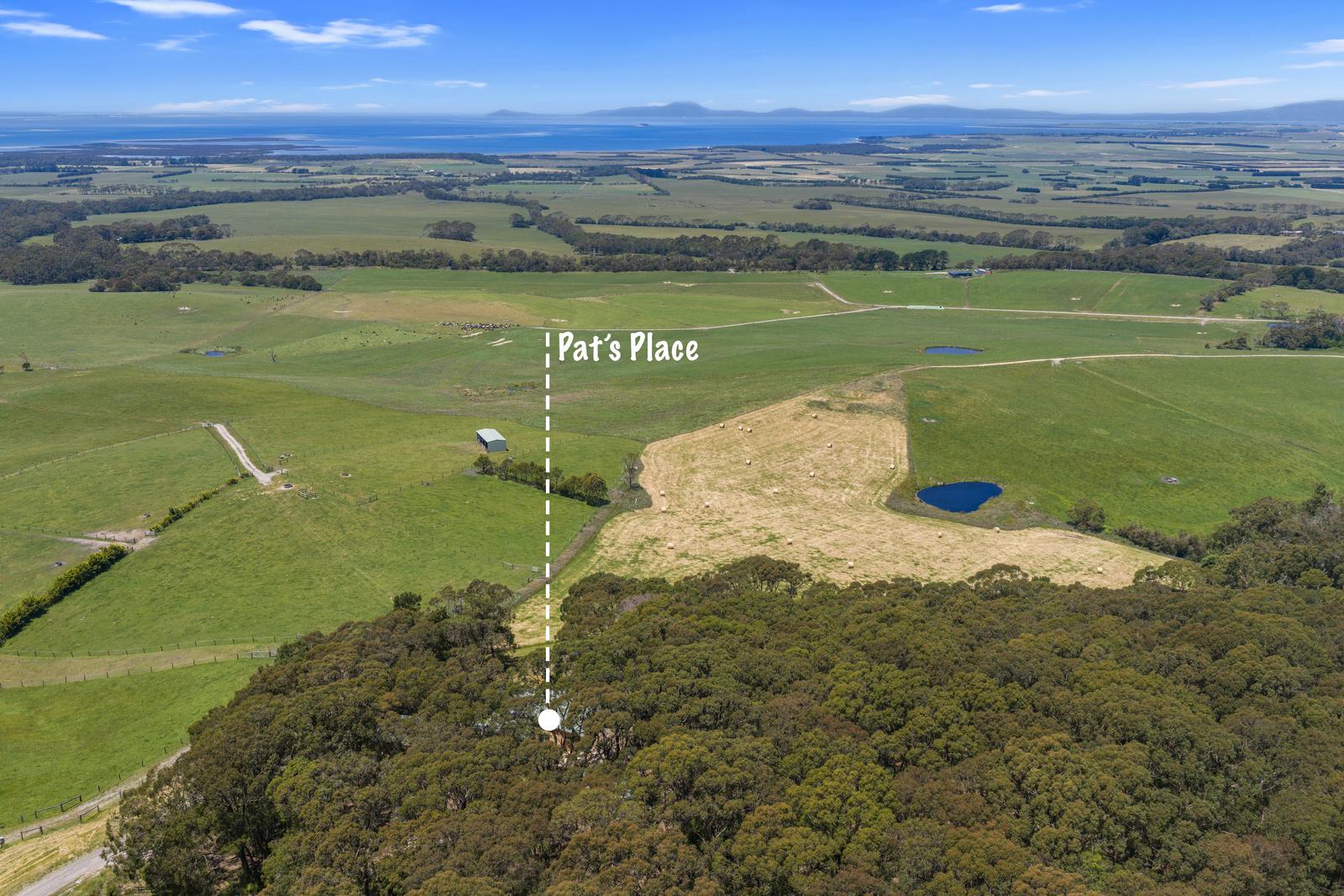 Aerial view of Pat's House surrounded by bushland with inlet views